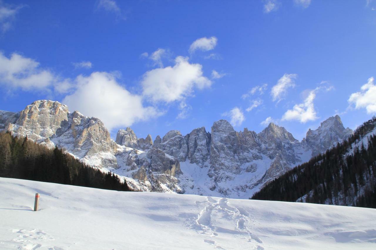 Casa Fiemme Panchia Διαμέρισμα Εξωτερικό φωτογραφία